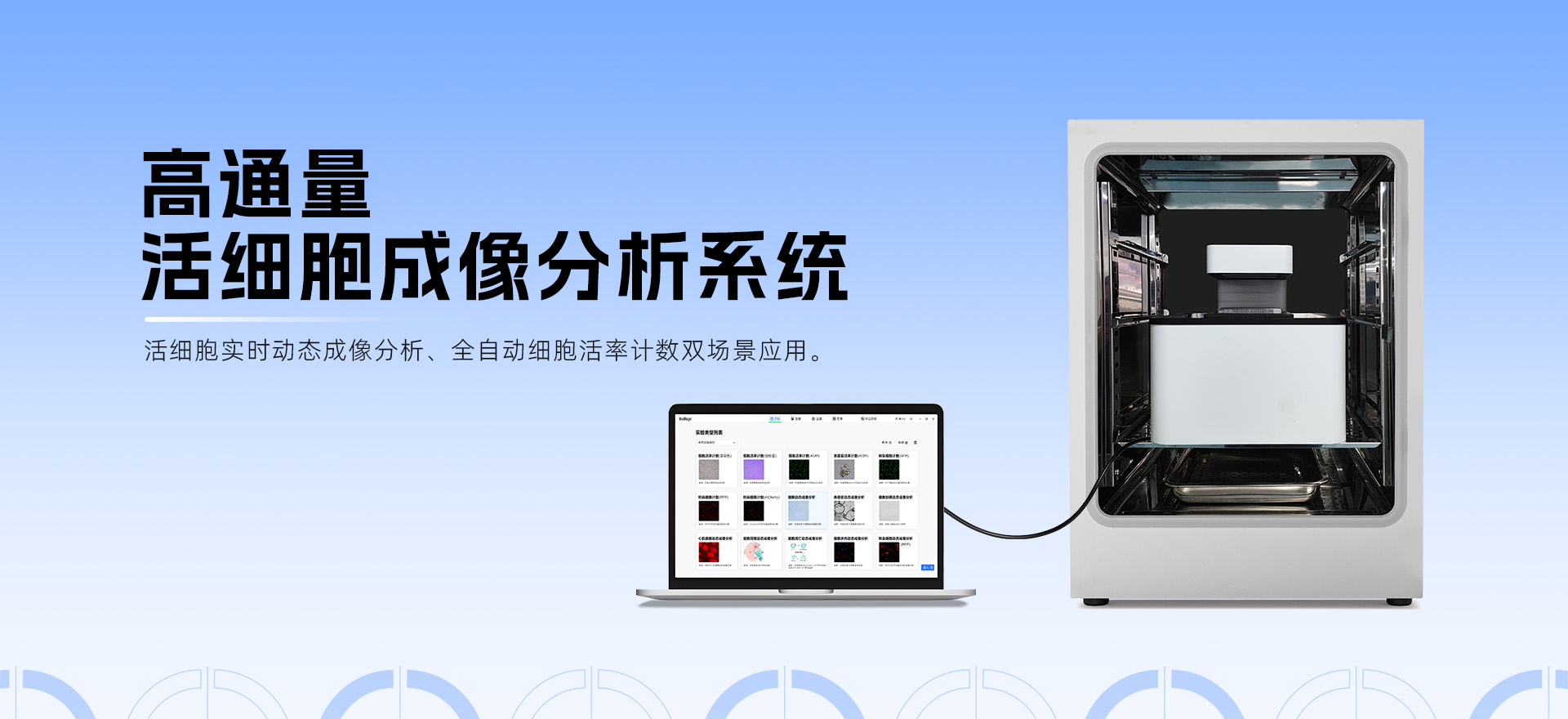 高通量活細(xì)胞成像技術(shù)：引領(lǐng)細(xì)胞凋亡研究進(jìn)入動(dòng)態(tài)全景解析時(shí)代